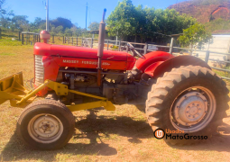 TRATOR MASSEY FERGUSON 65 X – ÚNICO DONO completo